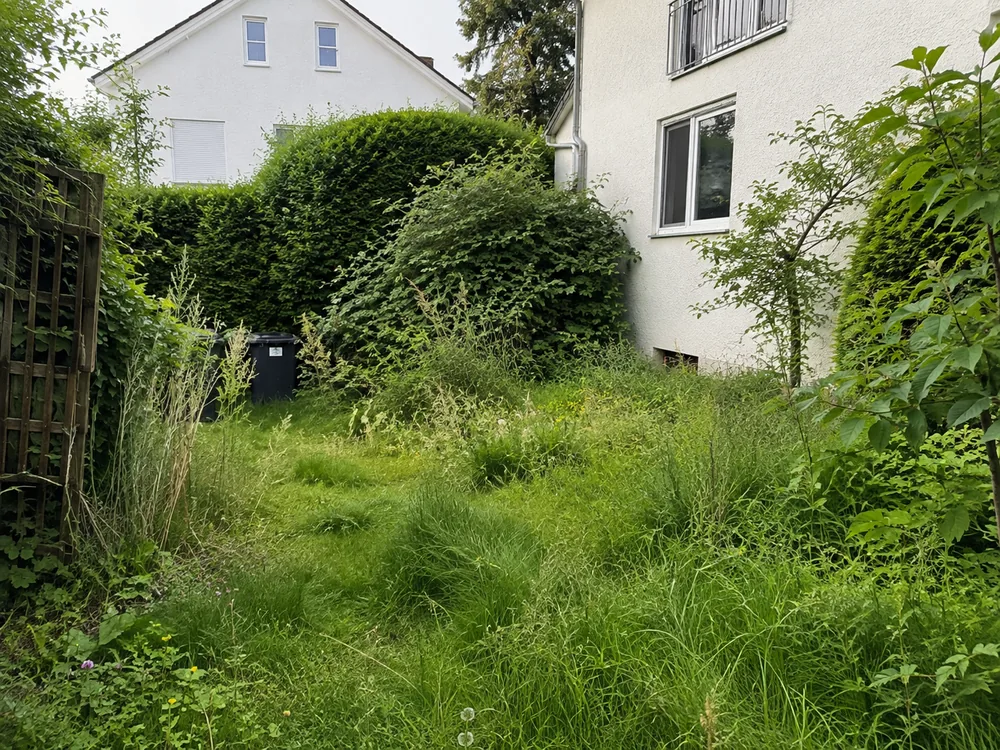 Stark zugewachsener Garten mit hohem Gras